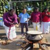 Thaipongal_Festival_2024